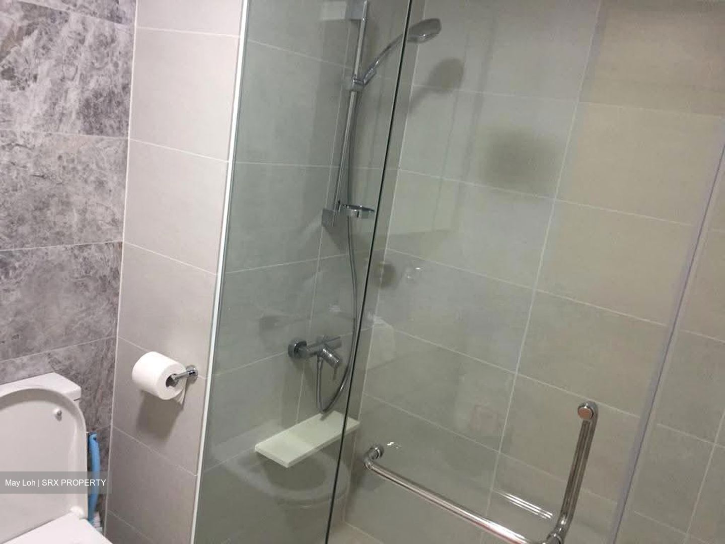 The Lakefront Residences (D22), Condominium #619944361